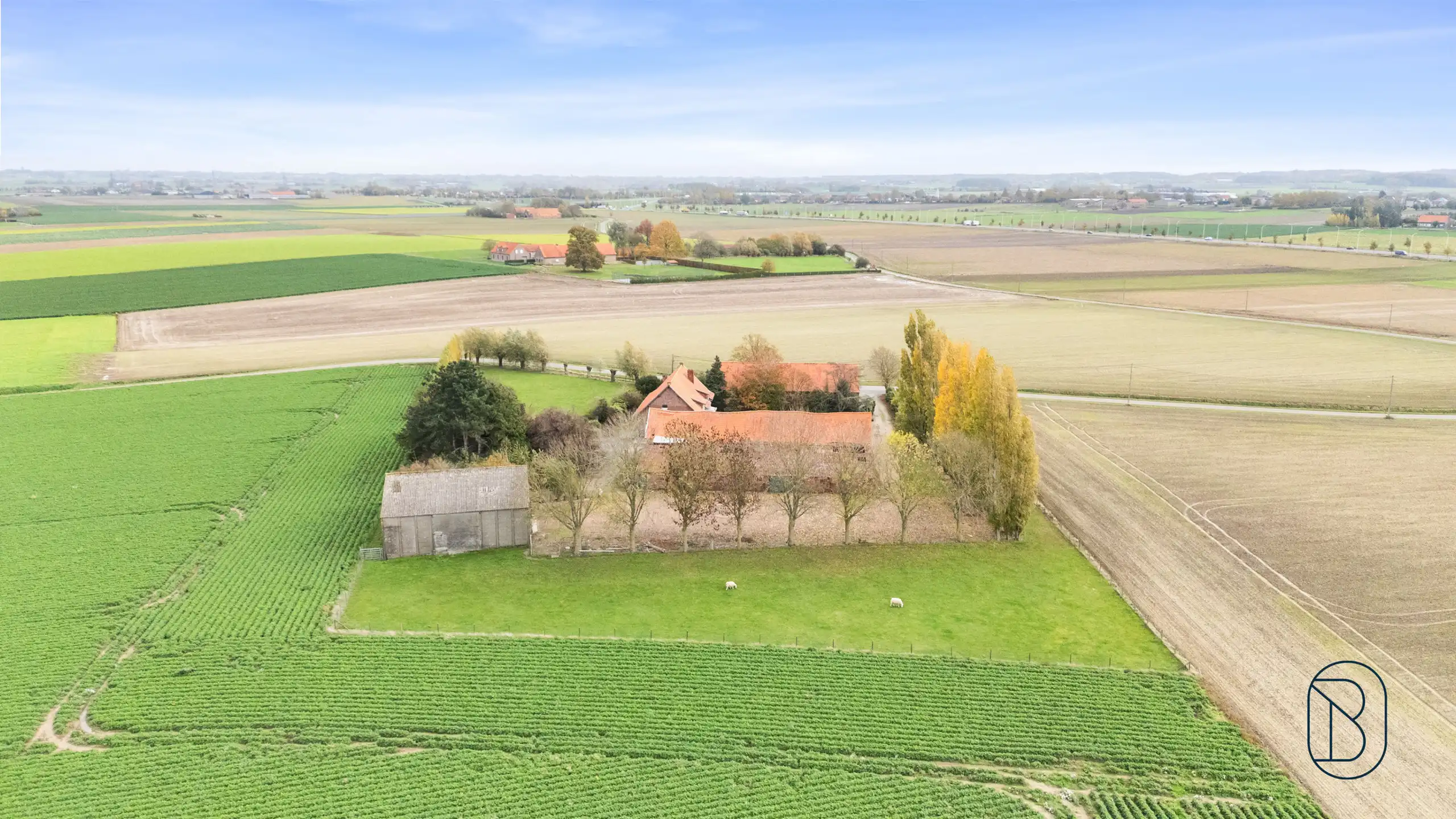 Unieke charmante vierkantshoeve op 1 hectare grond te Ieper foto 8
