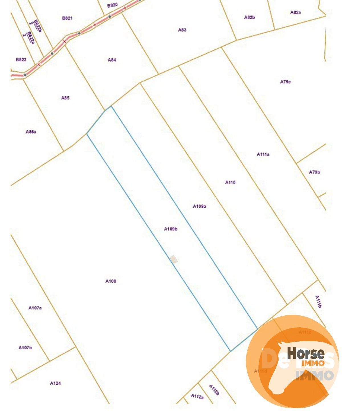 DENDERHOUTEM– Perceel weiland van 29a 50ca foto 3