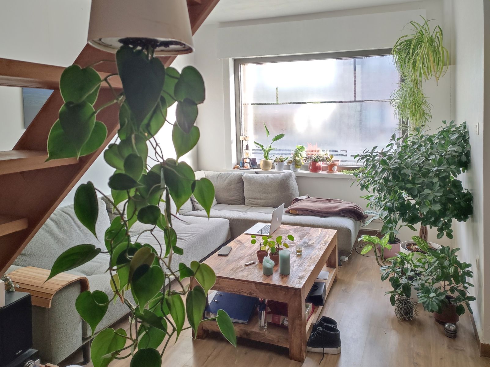 Zeer knusse gerenoveerde woning met veel licht en ruimte foto 5