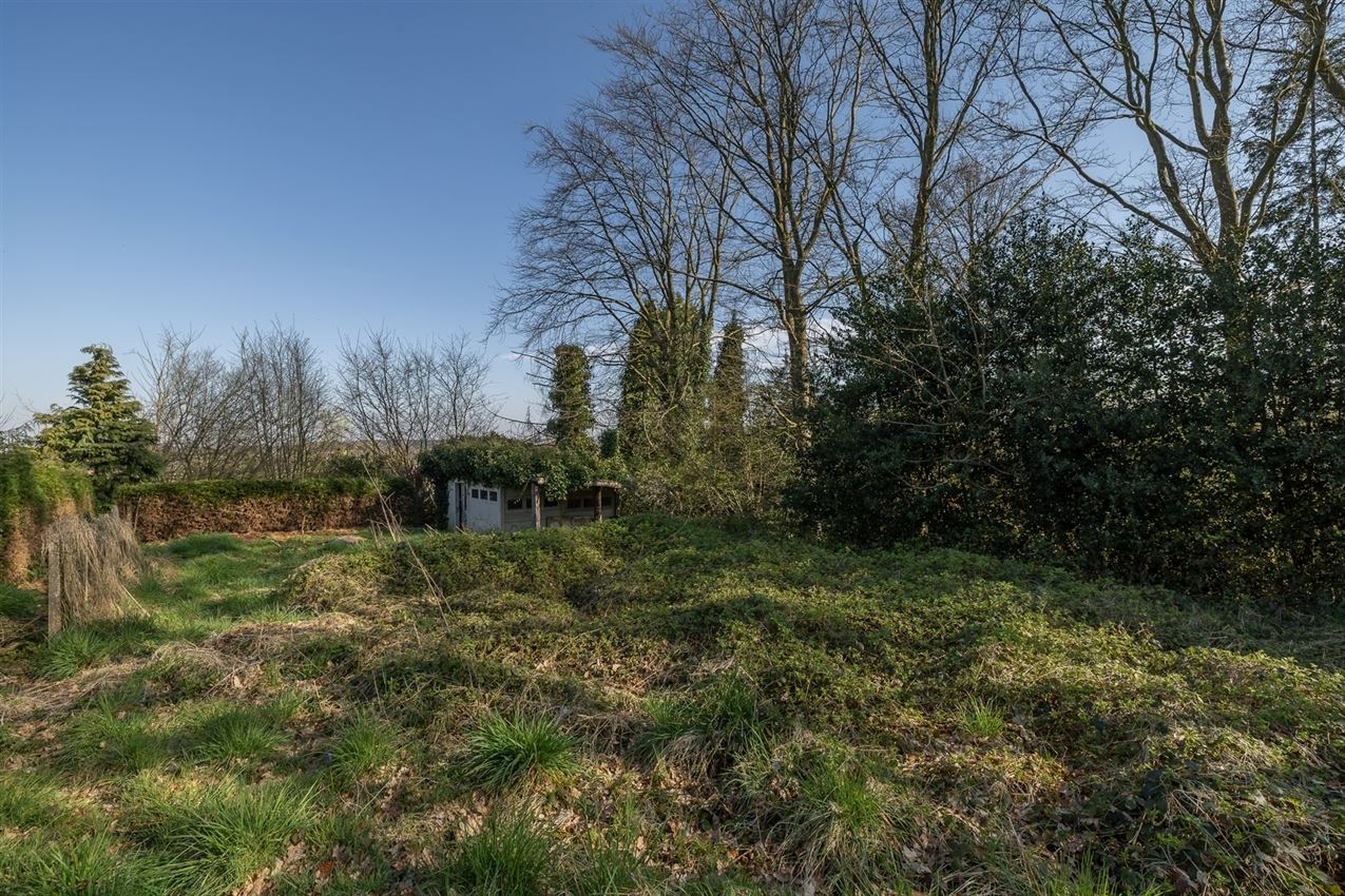 Uniek perceel, groot tuindeel zuidwest, klein weiland op top heuvel foto 7