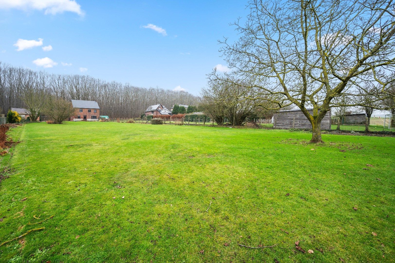 Charmante, te moderniseren woning in het groene Attenrode foto 3