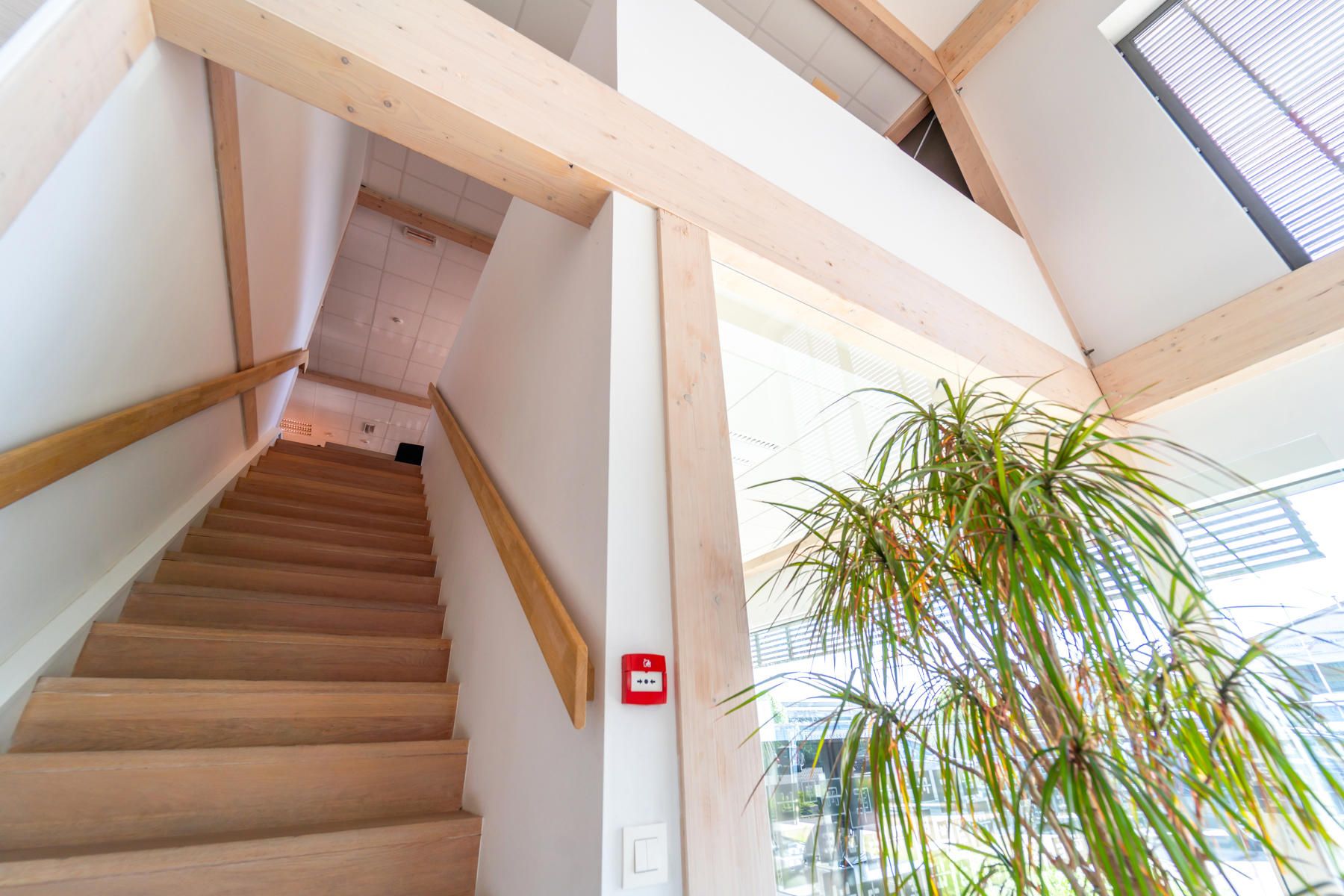 Multifunctioneel gebouw - hoge afwerkingsgraad - goede verbinding E313/E314. foto 16