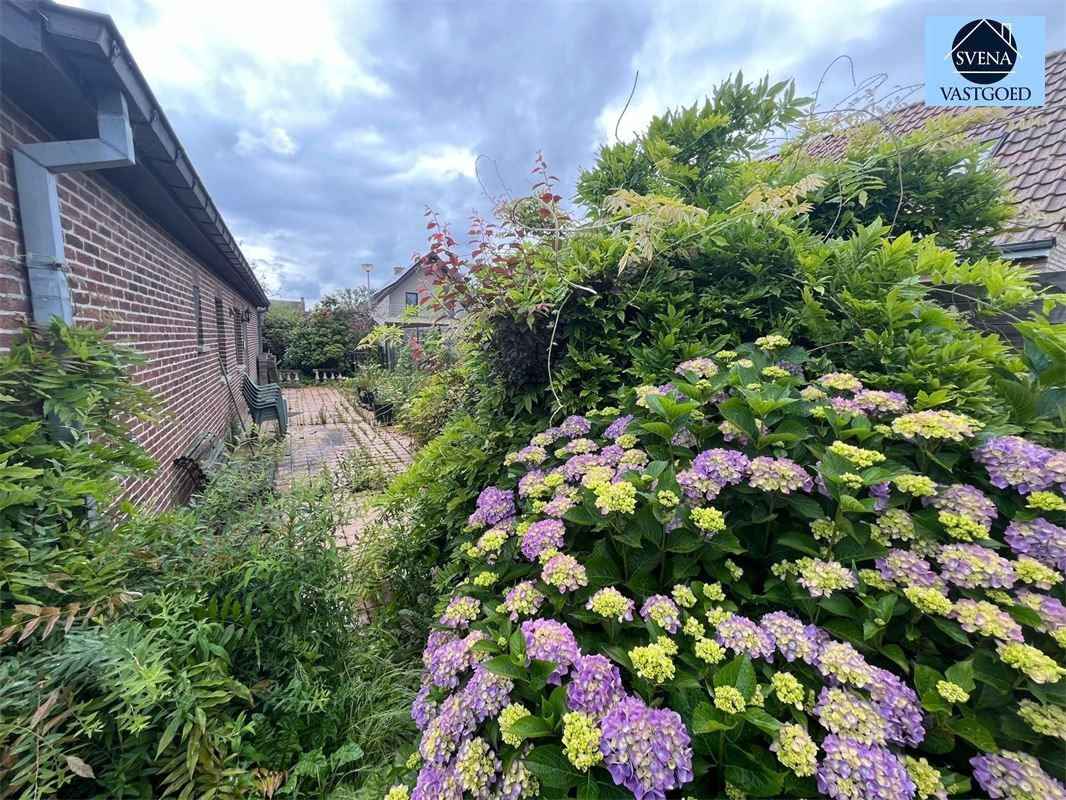 MOOIE WONING MET 3 SLAAPKAMERS foto 2