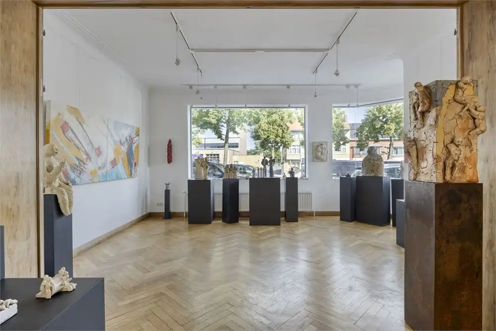 Uniek herenhuis met atelier en ruime bewoonbare oppervlakte in hartje Tongeren foto 4