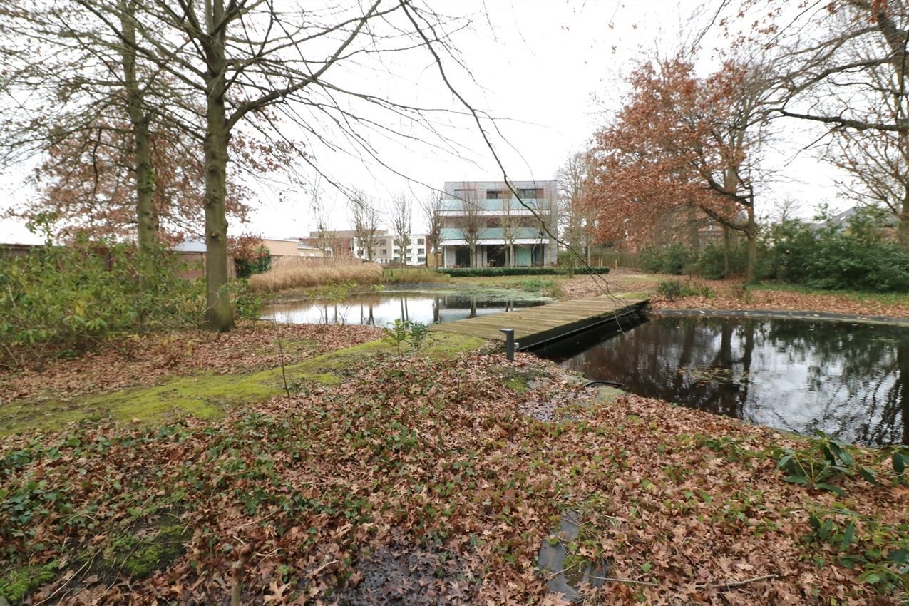  Ruim gelijkvloers app, garage, overdekt terras foto 3