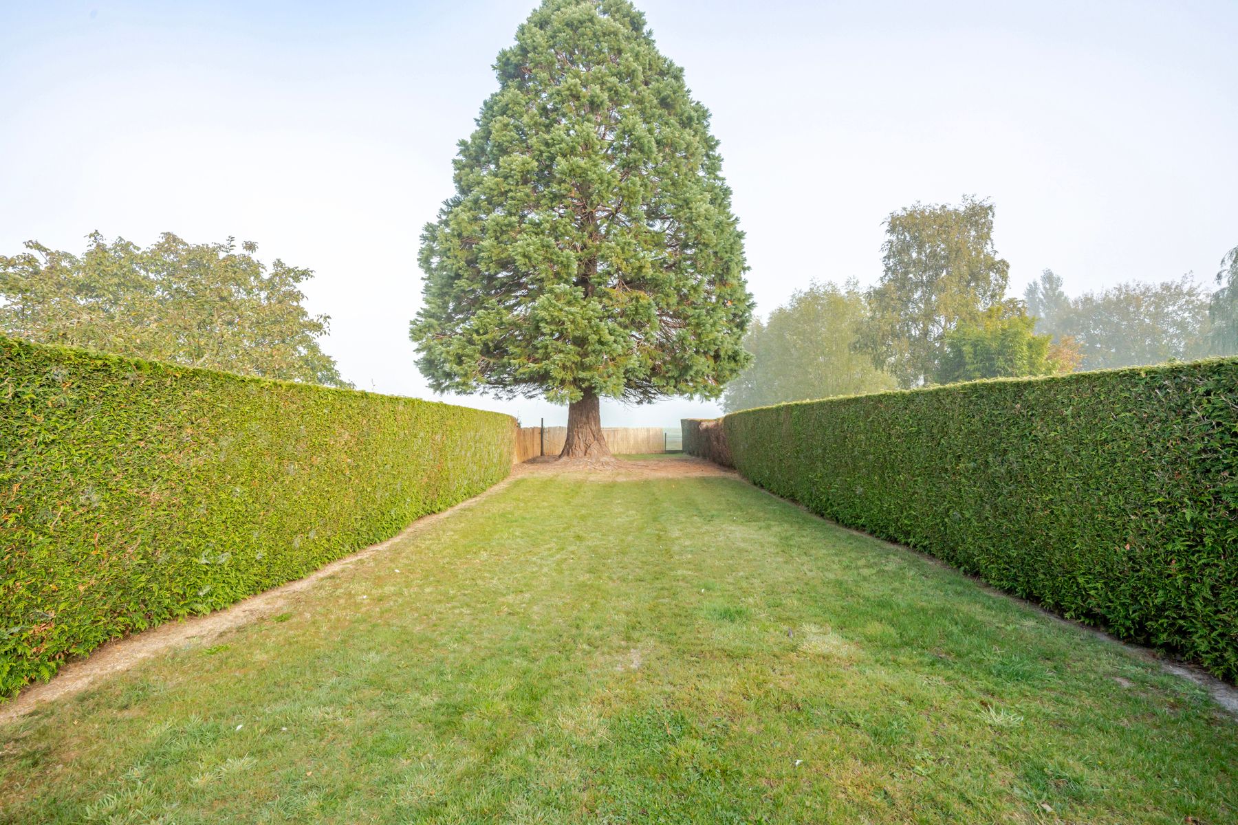 Huis te koop foto 15