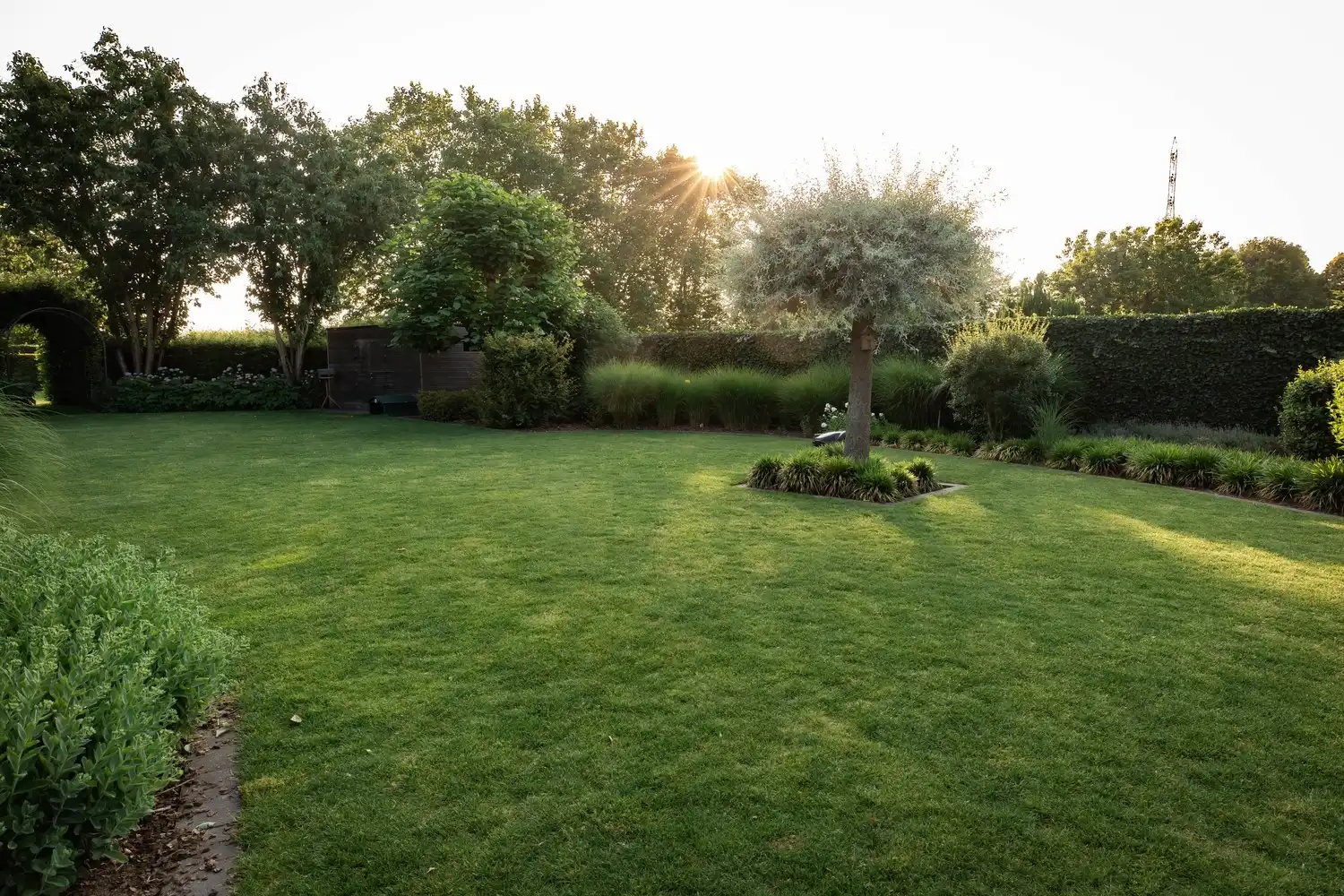 Prachtige villa met zwembad op 1 ha foto 8