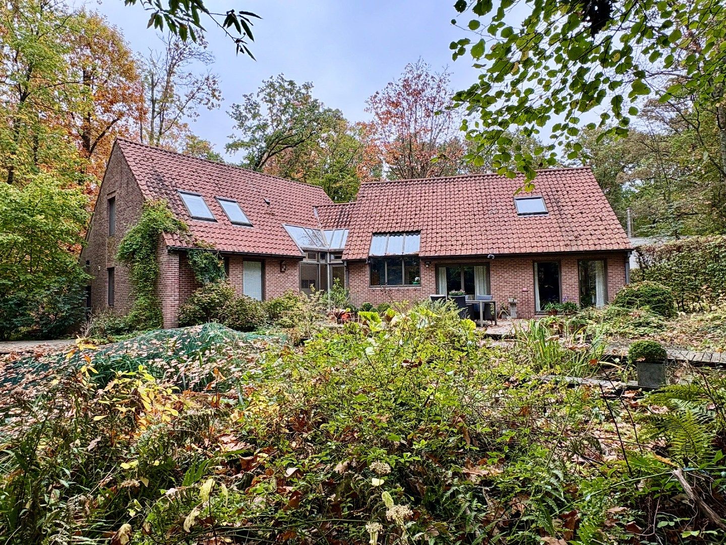 Hoofdfoto van de publicatie: Wonen in het bos met een totale opp van 1679m².