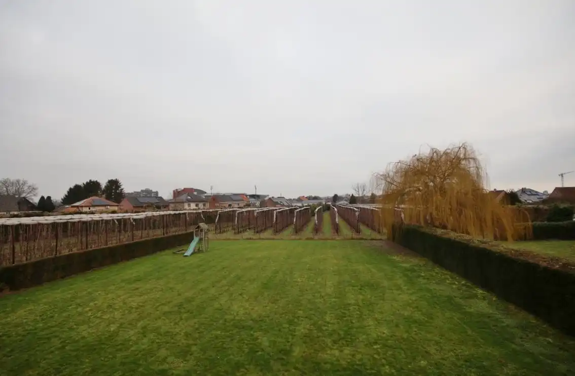 Moderne villa aan de stadsrand van Sint-Truiden foto 2