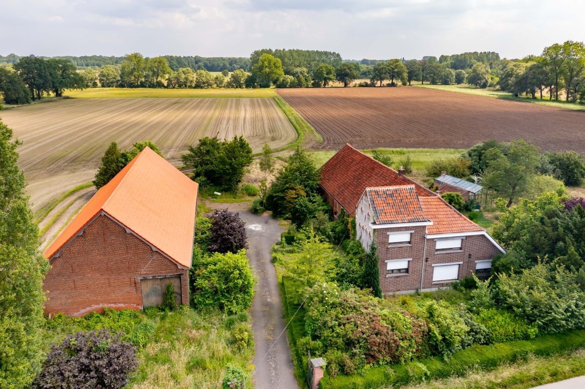 Hoeve op 15 ha te koop te Berlaar foto 4