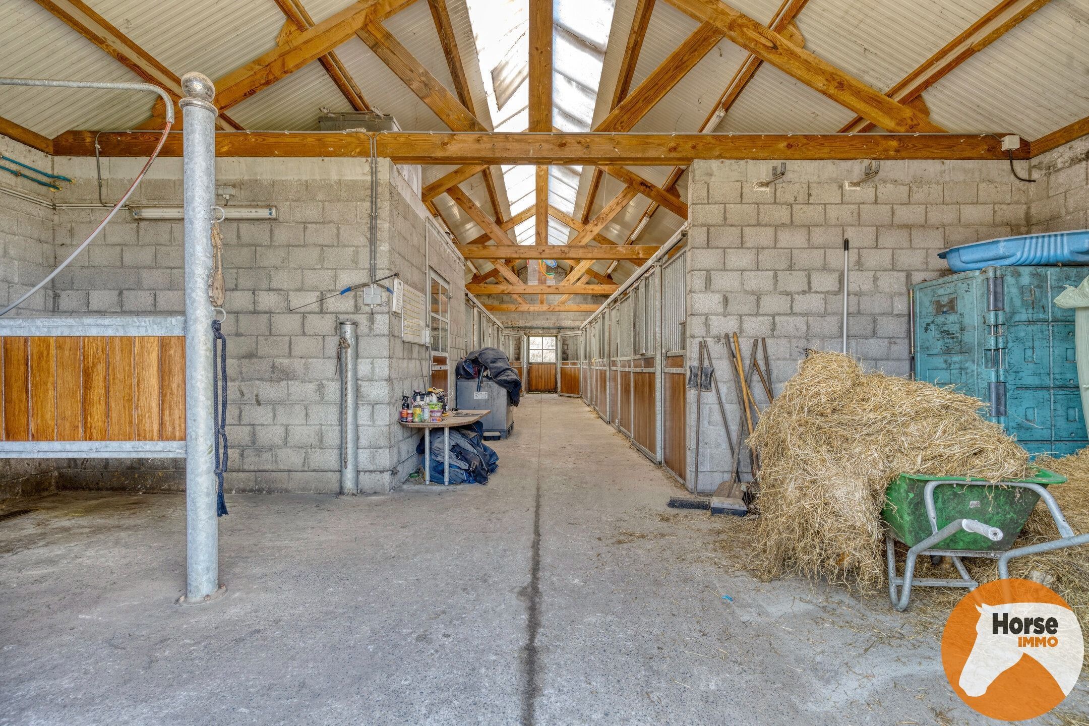 TORHOUT - Recente HOB met paardenstallen foto 3