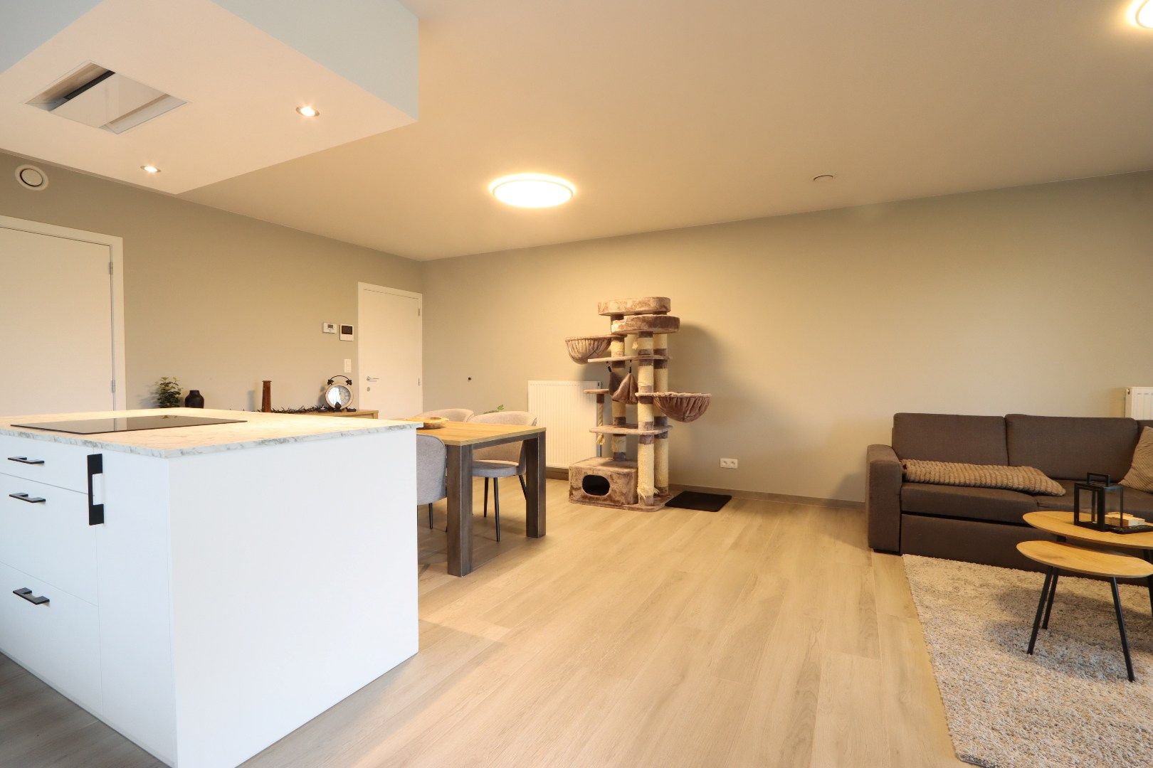 Gelijkvloers appartement met tuintje, terras, autostandplaats en kelderberging in hartje Maaseik  foto 5