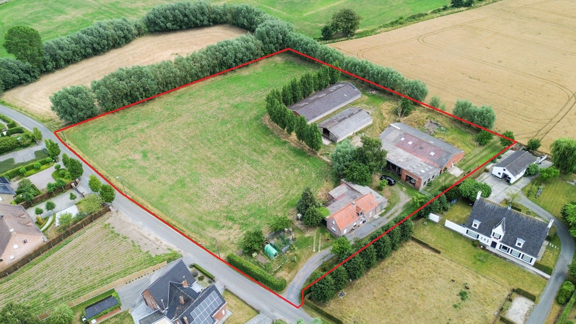 Hoevewoning met weilanden, te renoveren, unieke ligging in Torhout, vlak bij Groenhovebos foto 5