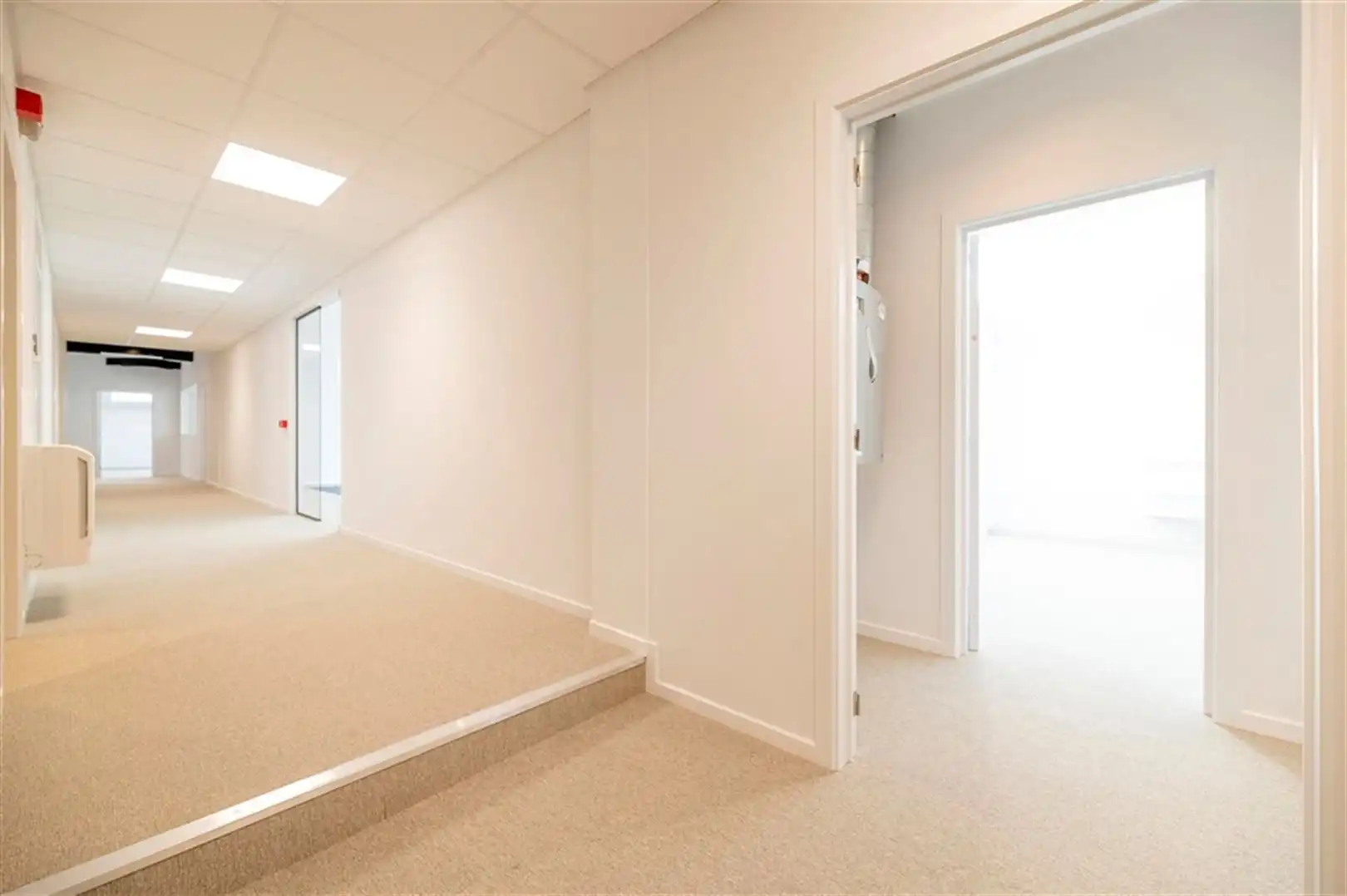 CONGRES 1: 600m² foto 5