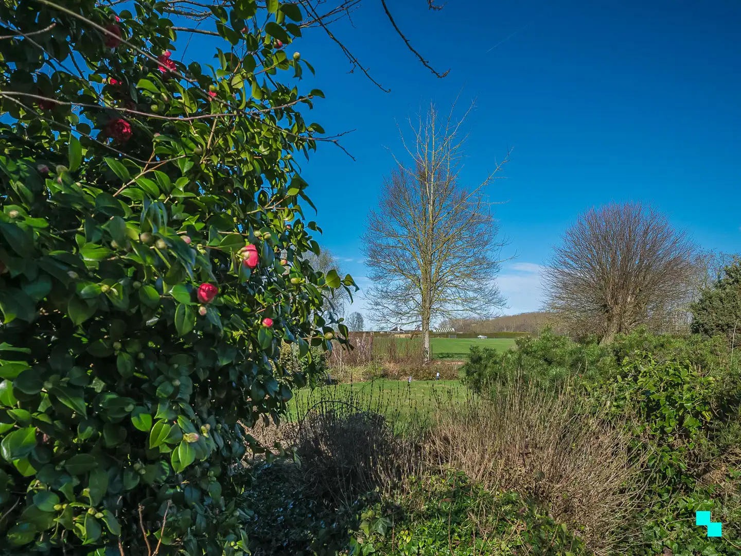 Charmante bungalow in het groene Oosterzele foto 24