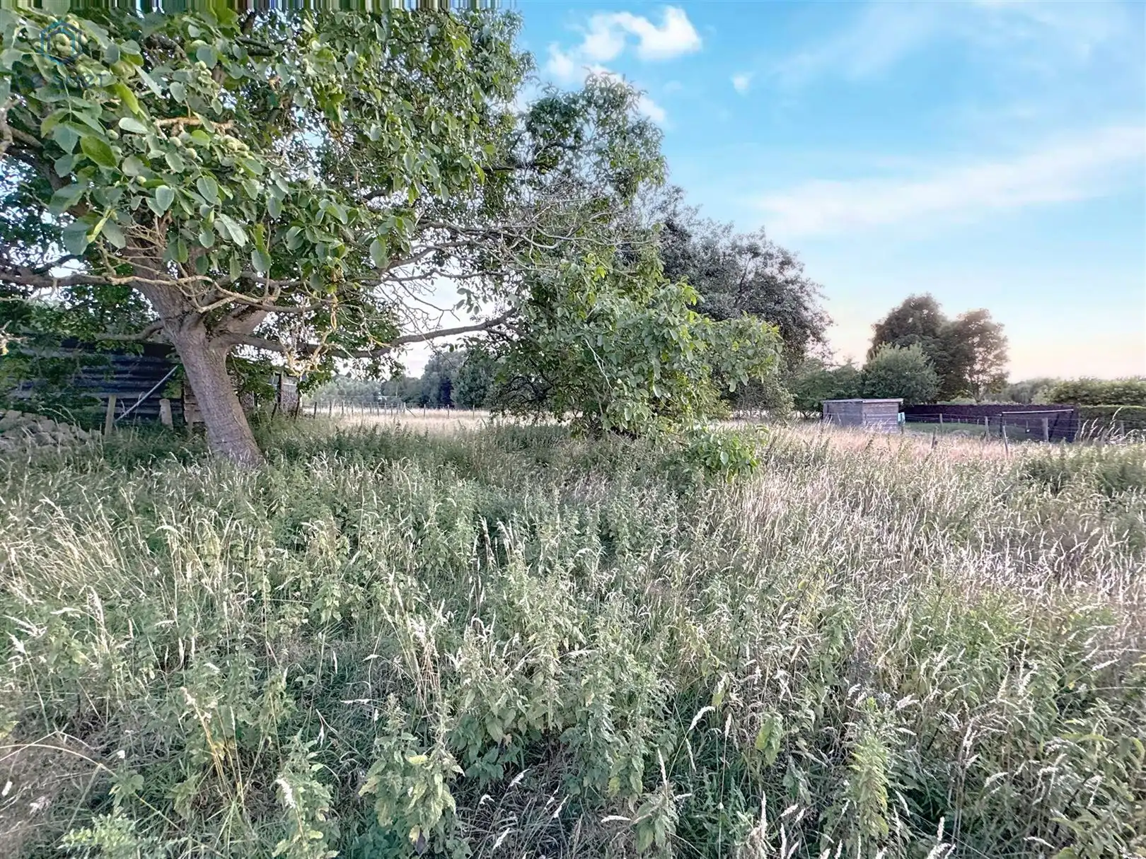 Bouwgrond voor halfopen bebouwingen op ruim perceel te Geraardsbergen  foto 3