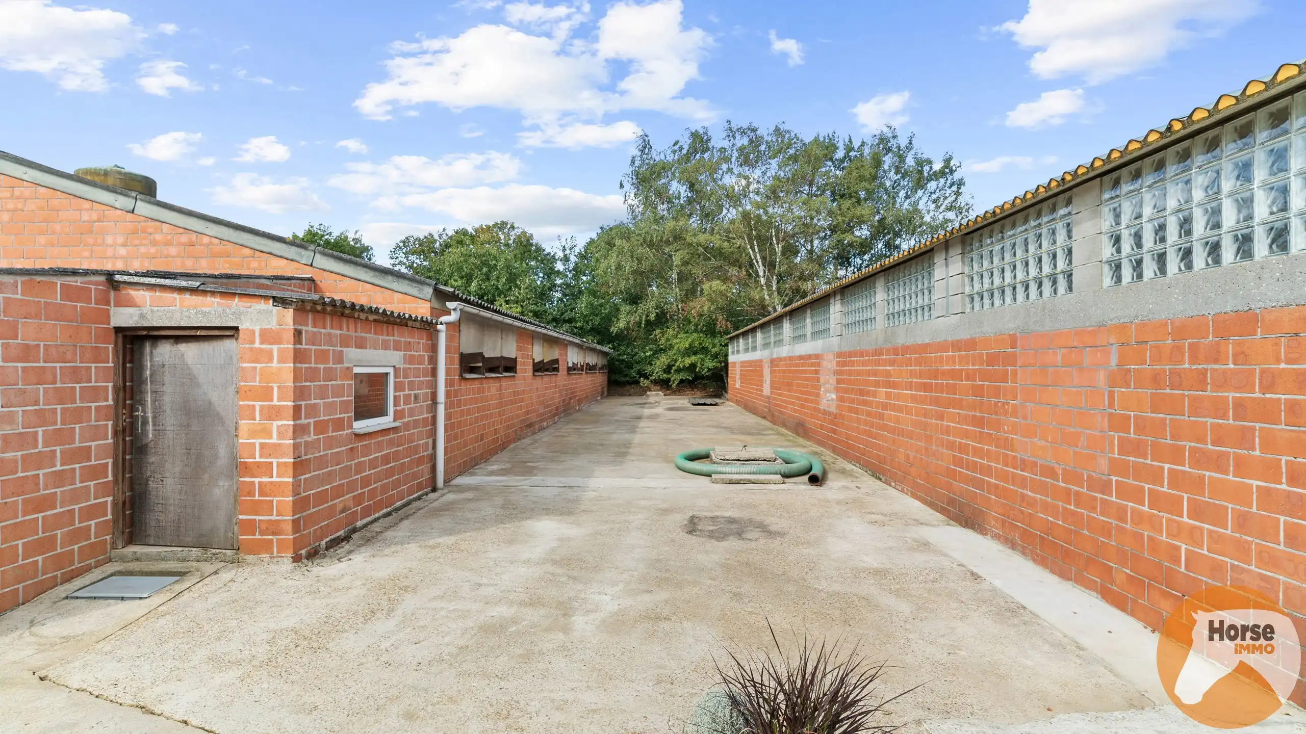 SCHAFFEN - Landbouwwoning op +/- 4,2 ha en paardenstalling foto 12