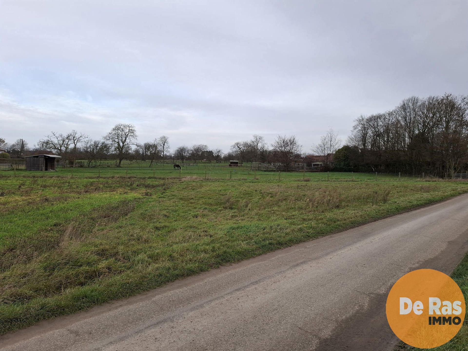 HAALTERT– Perceel weiland van 35a 76ca foto 6