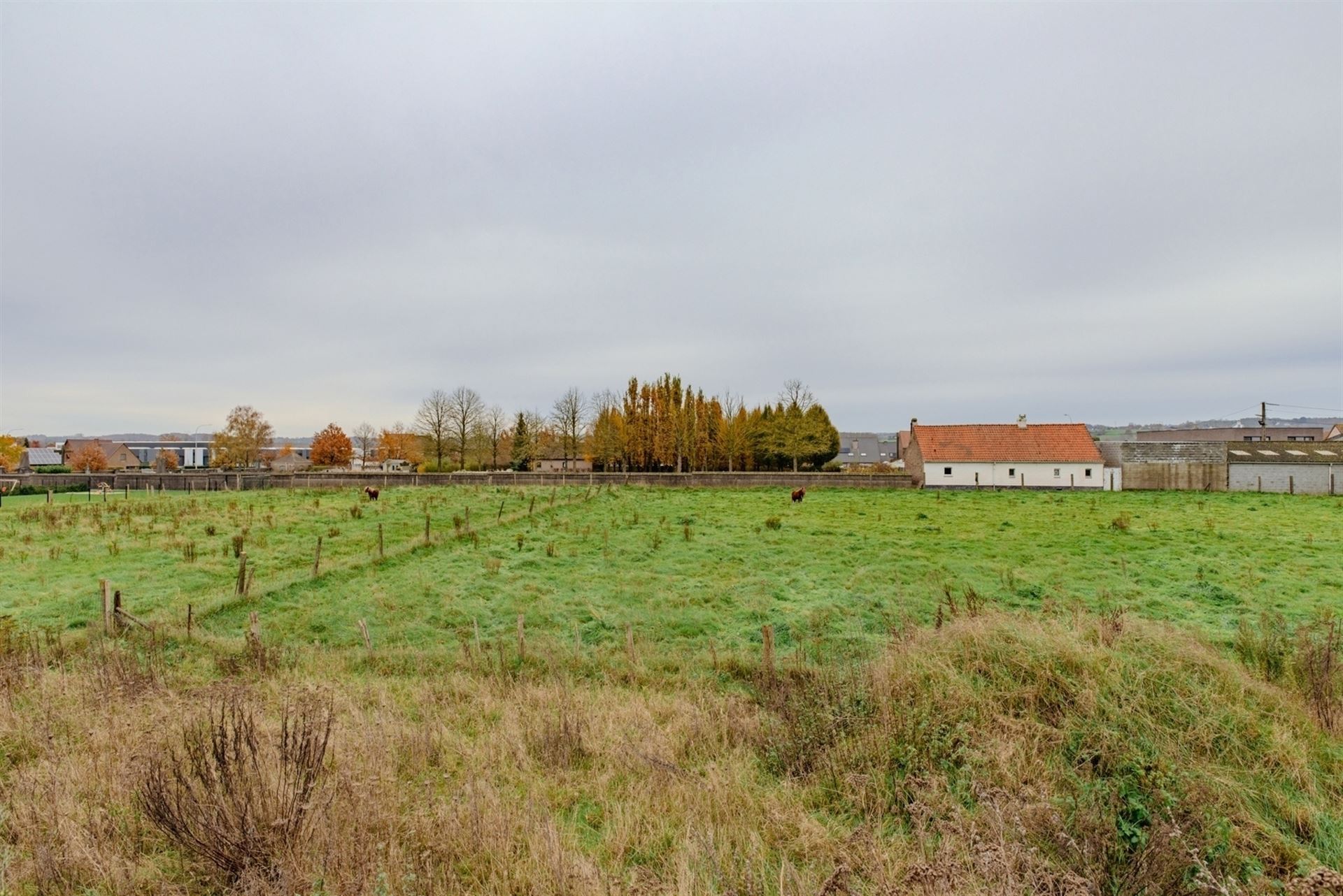 Bouwgrond te koop in Kluisbergen foto 4
