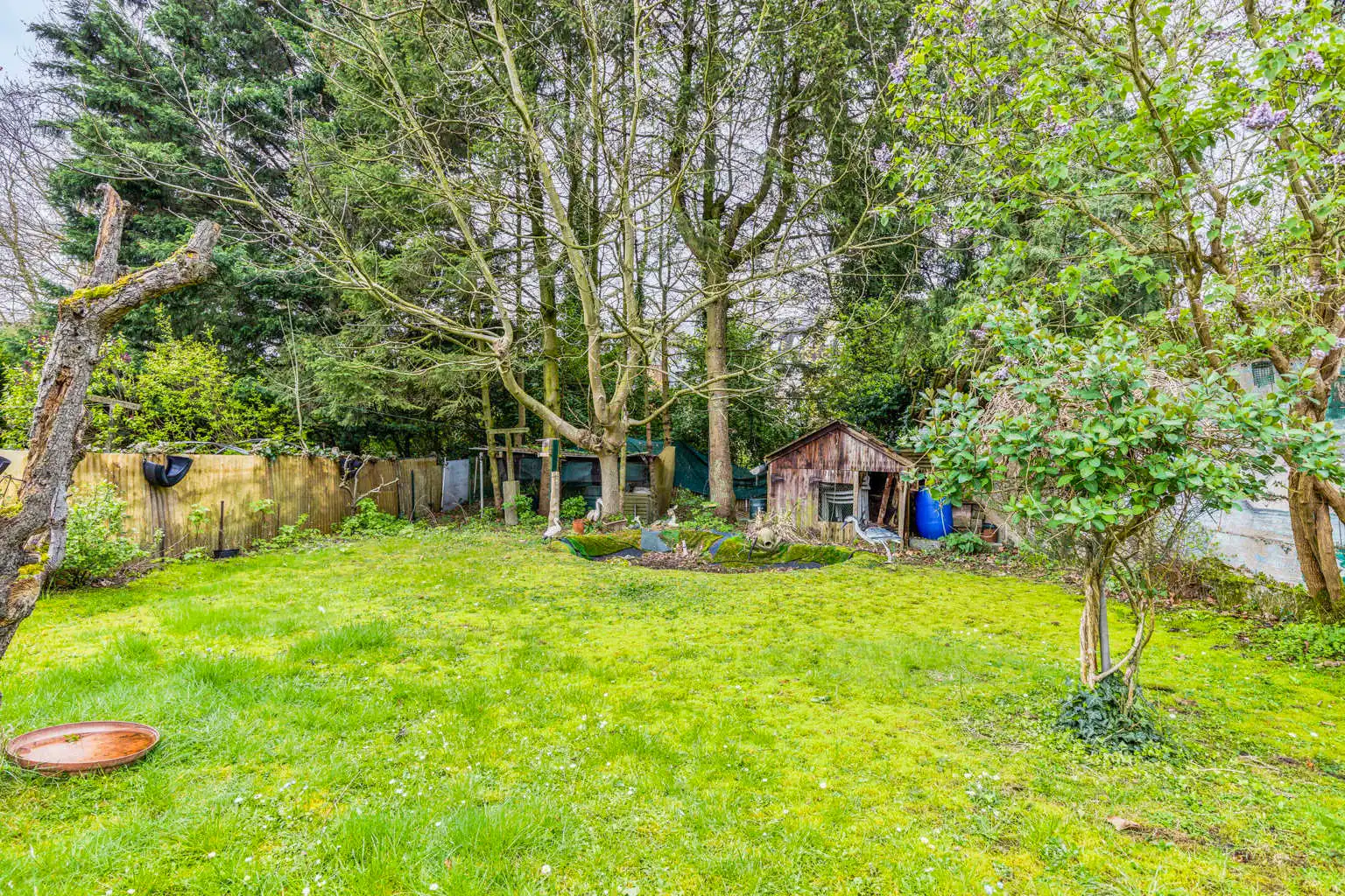 immo DAVID stelt voor: prachtige 3-gevel woning met tuin foto 15