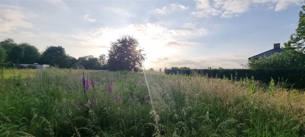 unieke bouwgrond 29a26ca met westgericht weidezicht foto 1