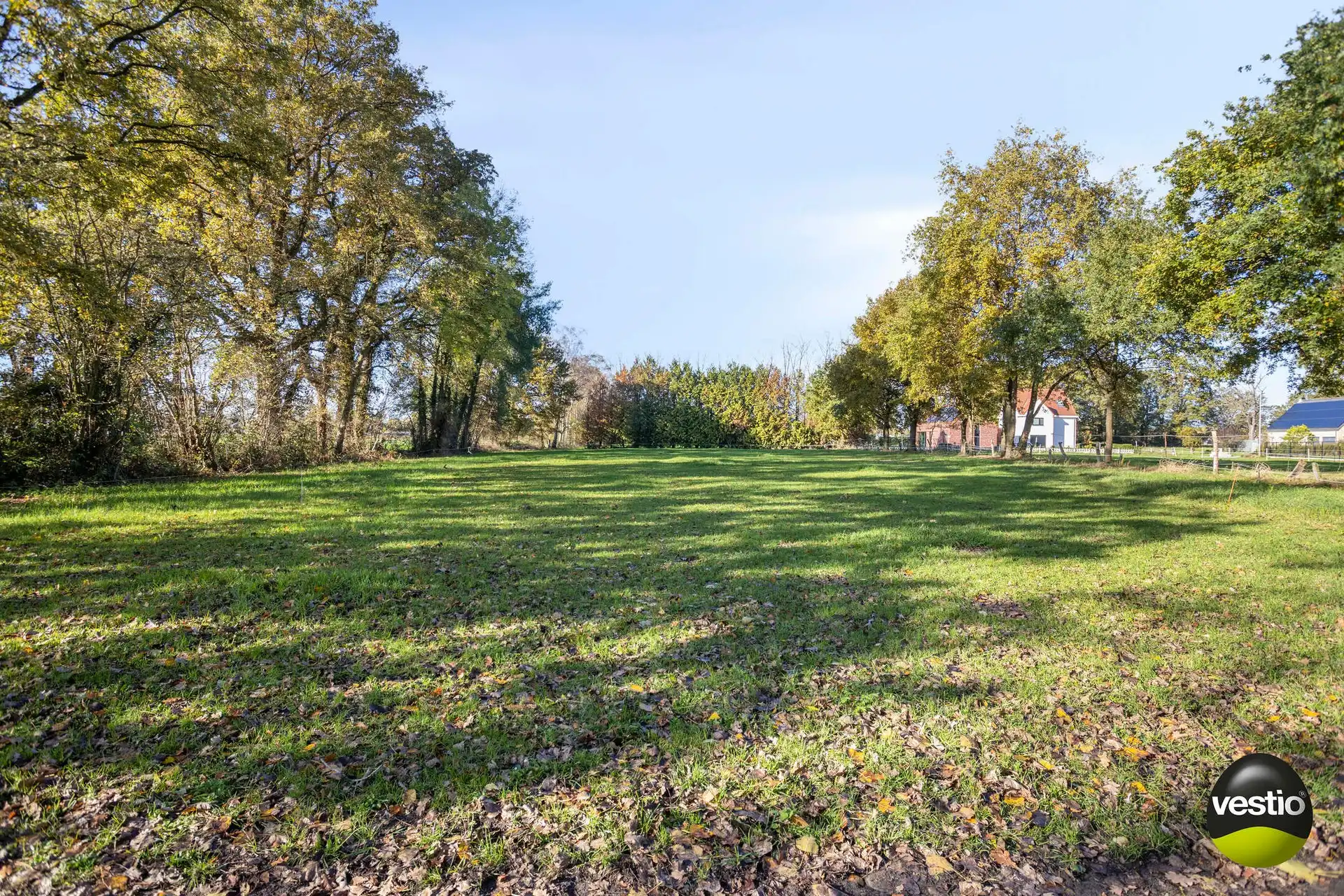 Achterliggend weiland van 33a 31ca aan de Bunderweg te Zonhoven. foto 2