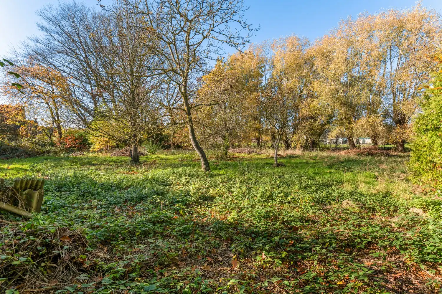 Te renoveren villa met 5 slpkrs op een perceel van 3908 m² te Meise foto 26
