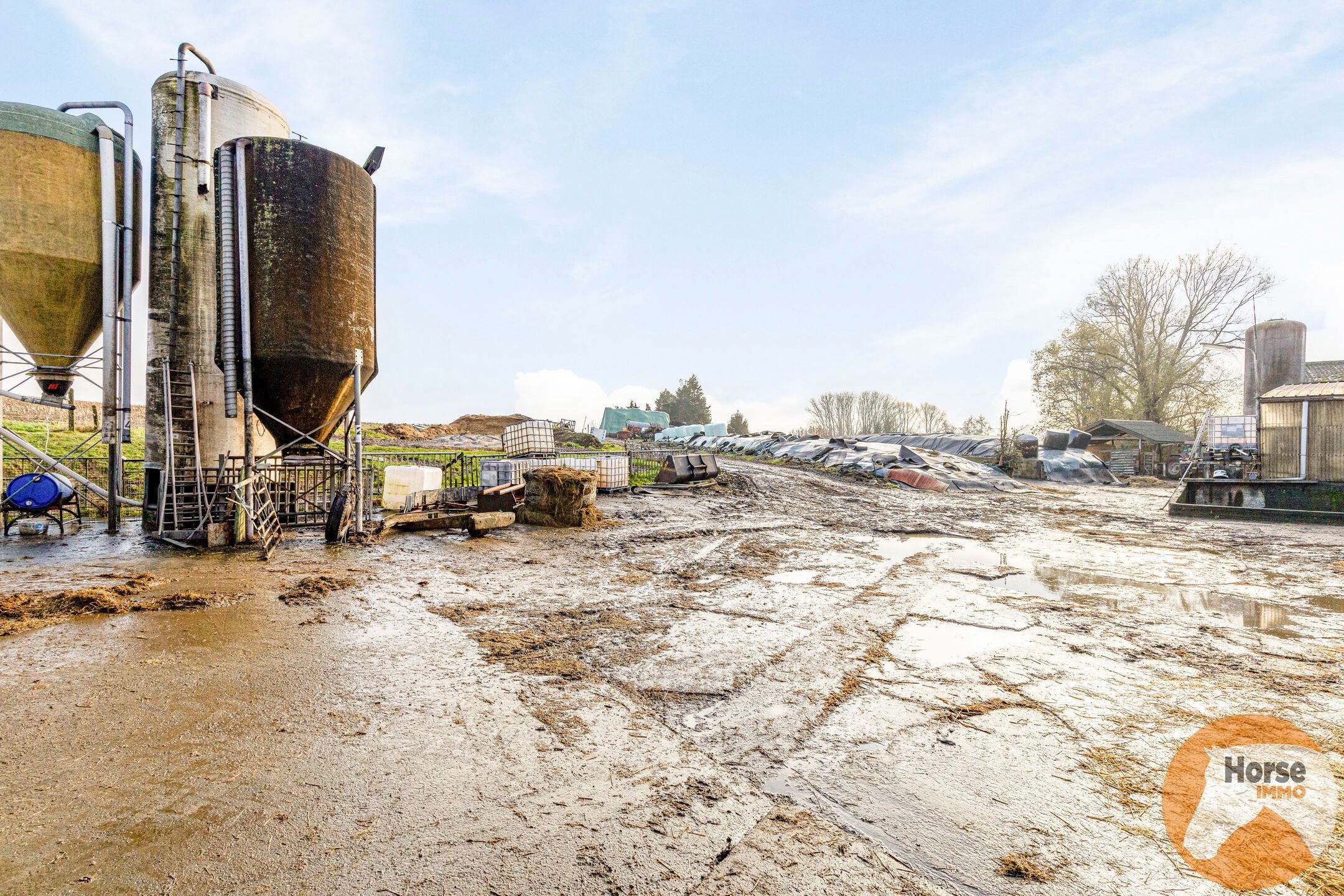 FRASNES-LES-BUISSENAL - Landbouwbedrijf op 1,9HA foto 23