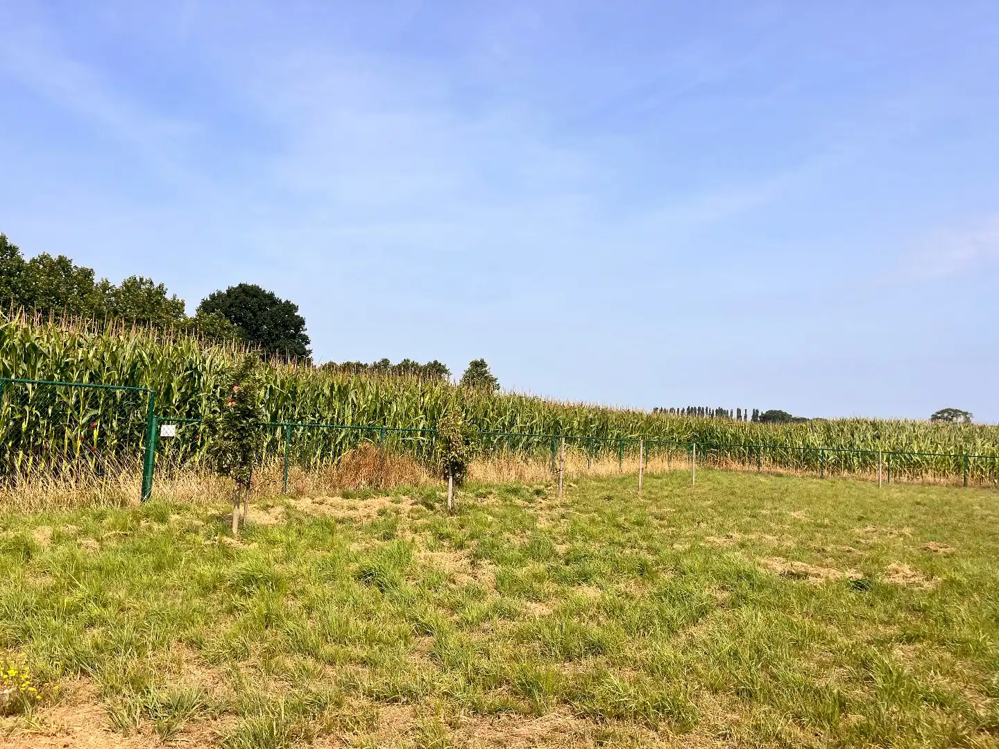 Ruim perceel (2028 m2)met renovatiepand en vergunde loods in Ingelmunster foto 2