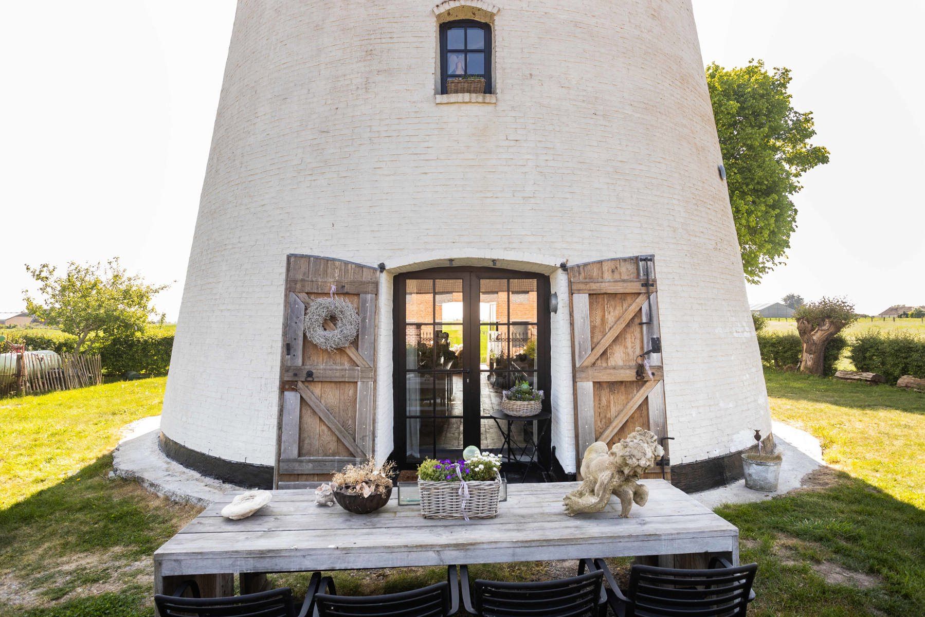 Hoofdfoto van de publicatie: Unieke molen met zicht op de velden 