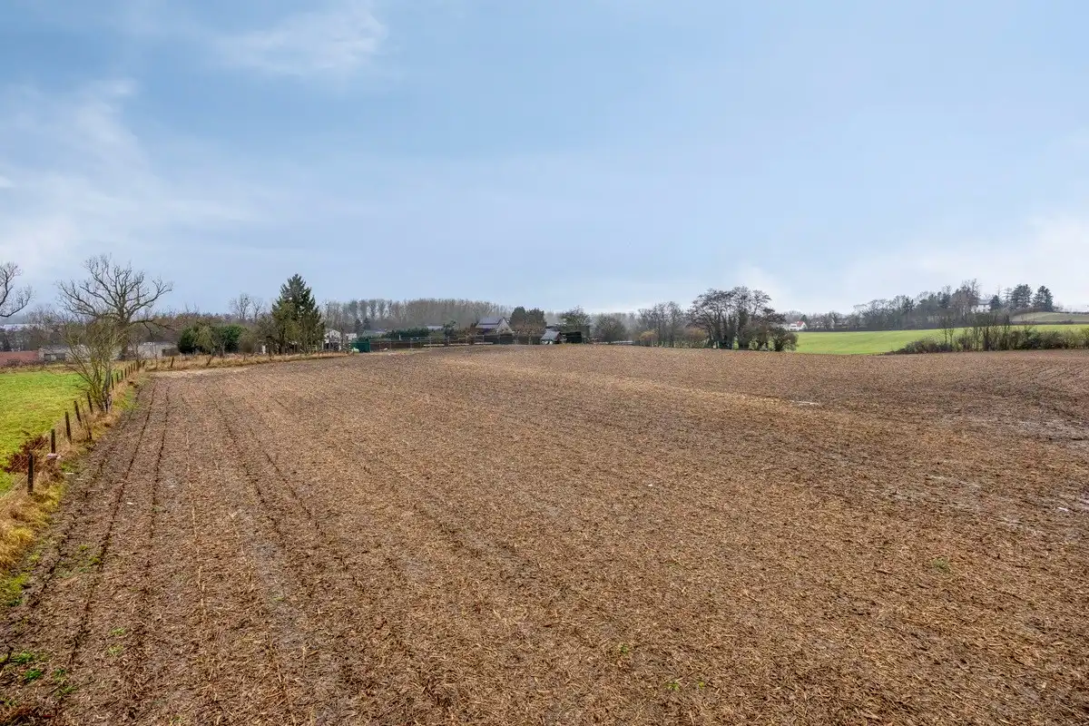 Landbouwgrond vrij van pacht in Bierbeek op een perceel van 1ha  foto 6