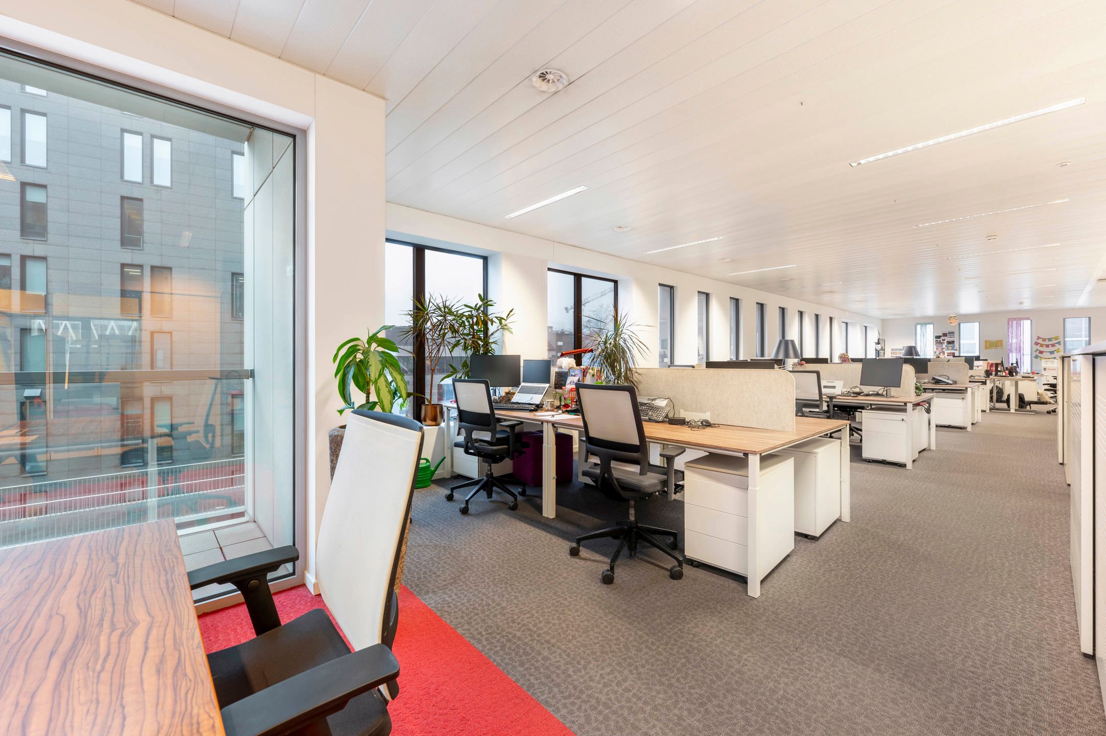 ANTWERP NORTH OFFICES - Kantoren te huur foto 11