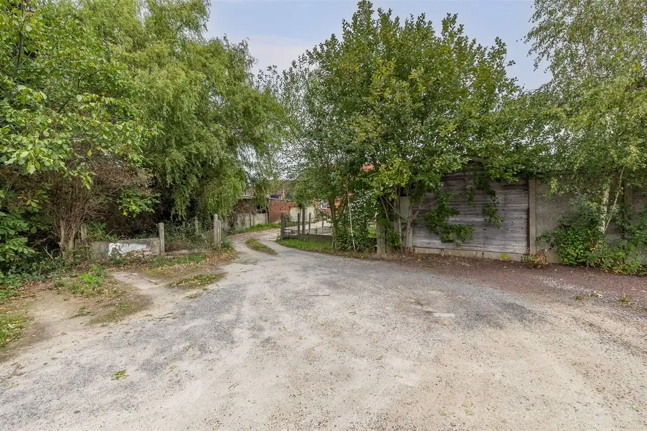 Handelswoonst met volledig uitgeruste frituur en appartement foto 40