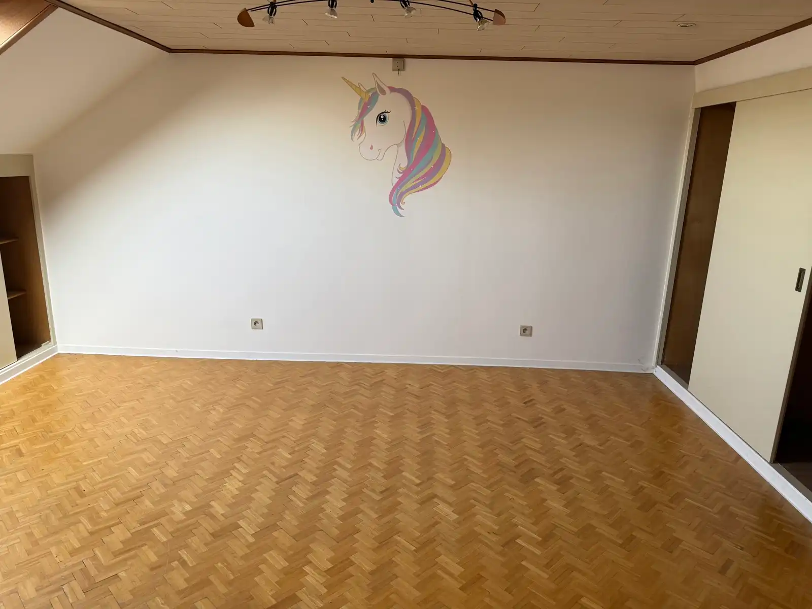 Projectgrond (vroegere feestzaal met woonst en parking) foto 14