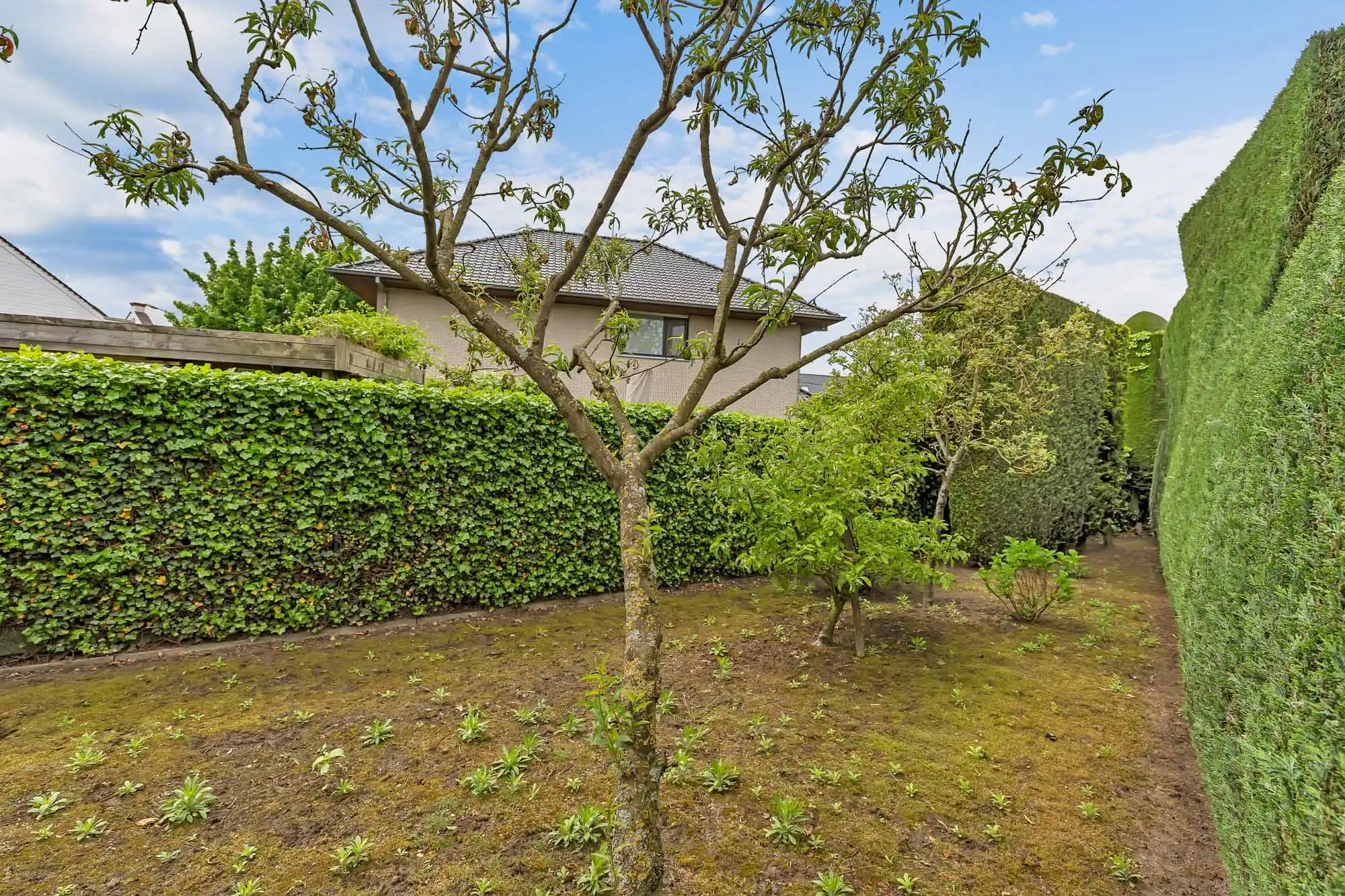 Statige bungalow met tal van mogelijkheden op topligging foto 11
