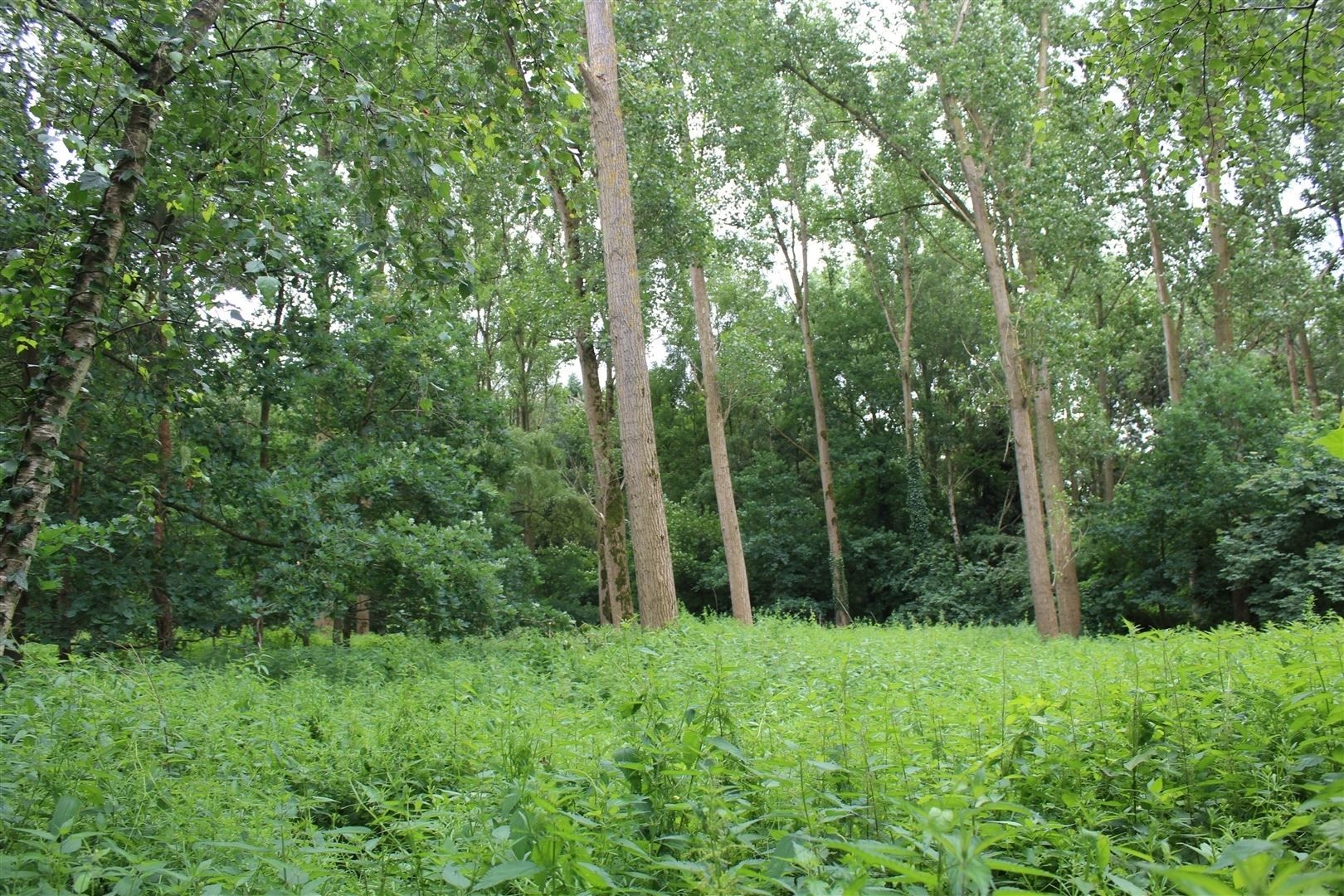 Tuingrond gelegen te Brasschaat  foto {{pictureIndex}}