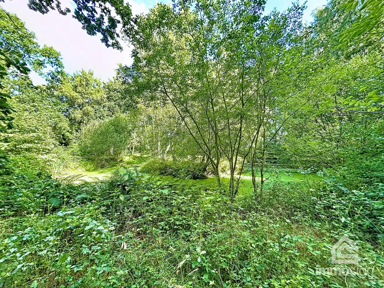 Uniek stuk grond van 9.050 m² in Grote-Brogel/Peer! foto 2