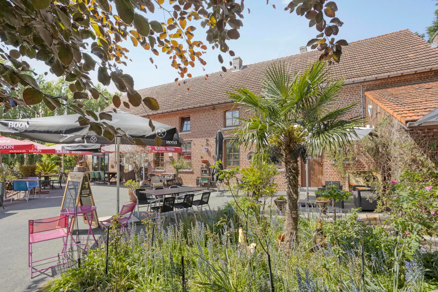 Karaktervolle woning met bouwgrond op perceel van 2.368 m²  foto 4