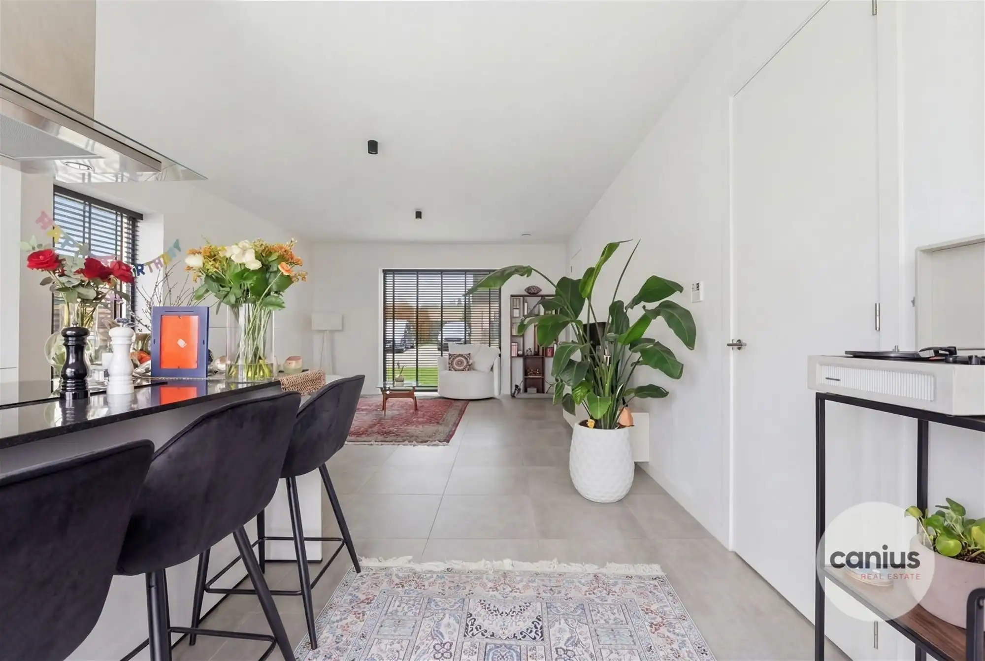 ENERGIEZUINIGE OPEN BEBOUWING MET 3 SLKS foto 5