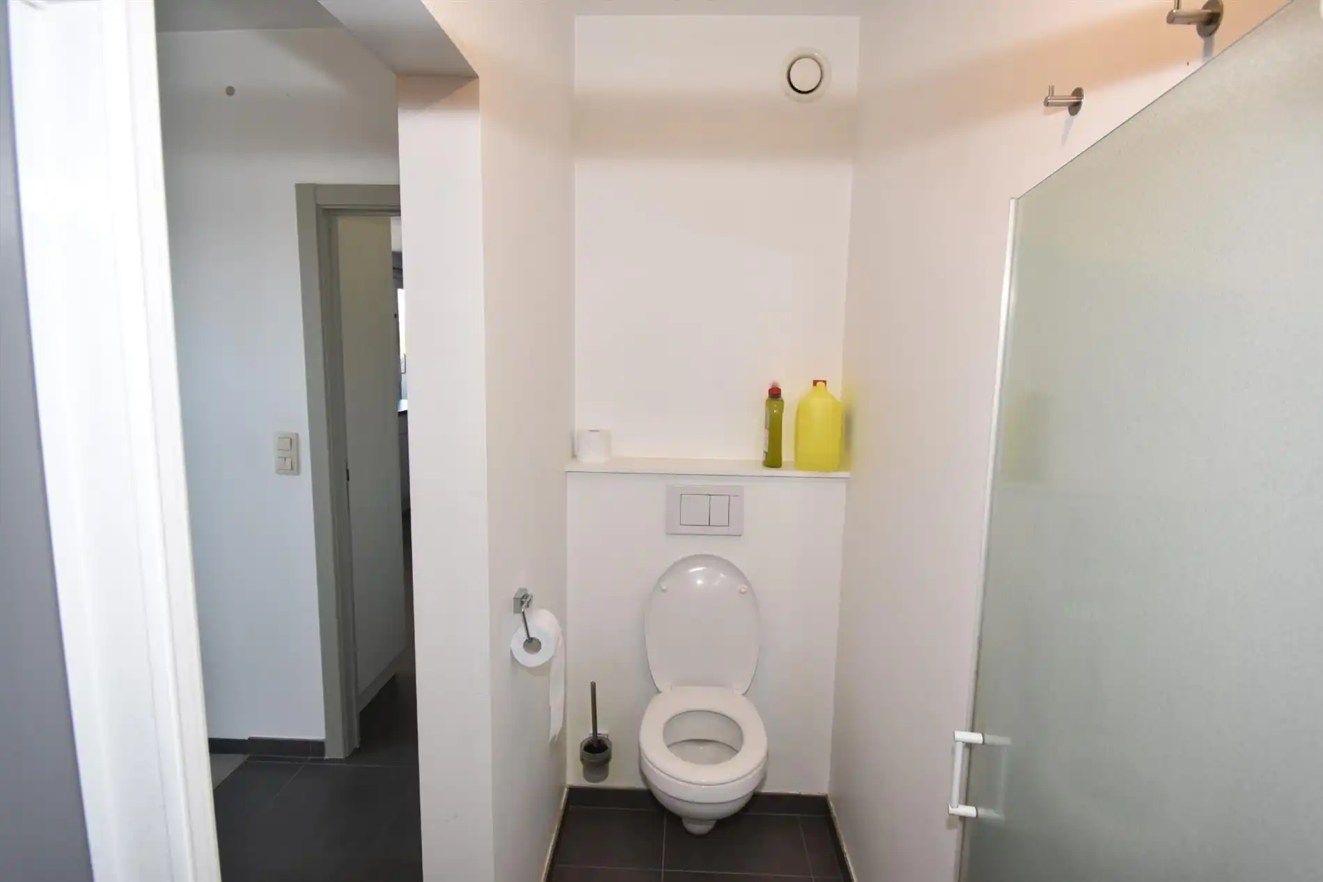 Dakappartement met terras te Watervliet foto 17