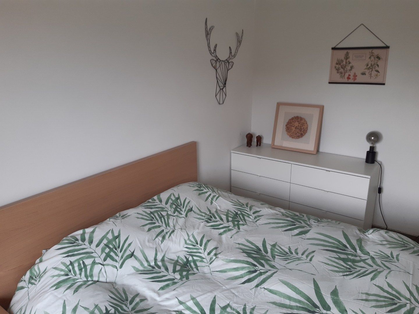 Tijdloos appartement in hippe buurt !  foto 13