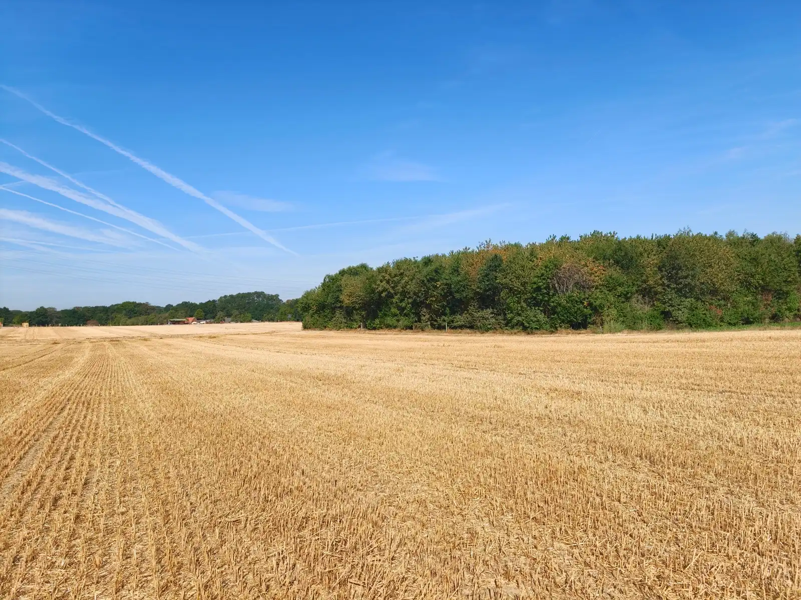 Prachtig stuk landbouwgrond op toplocatie in groene omgeving foto 2