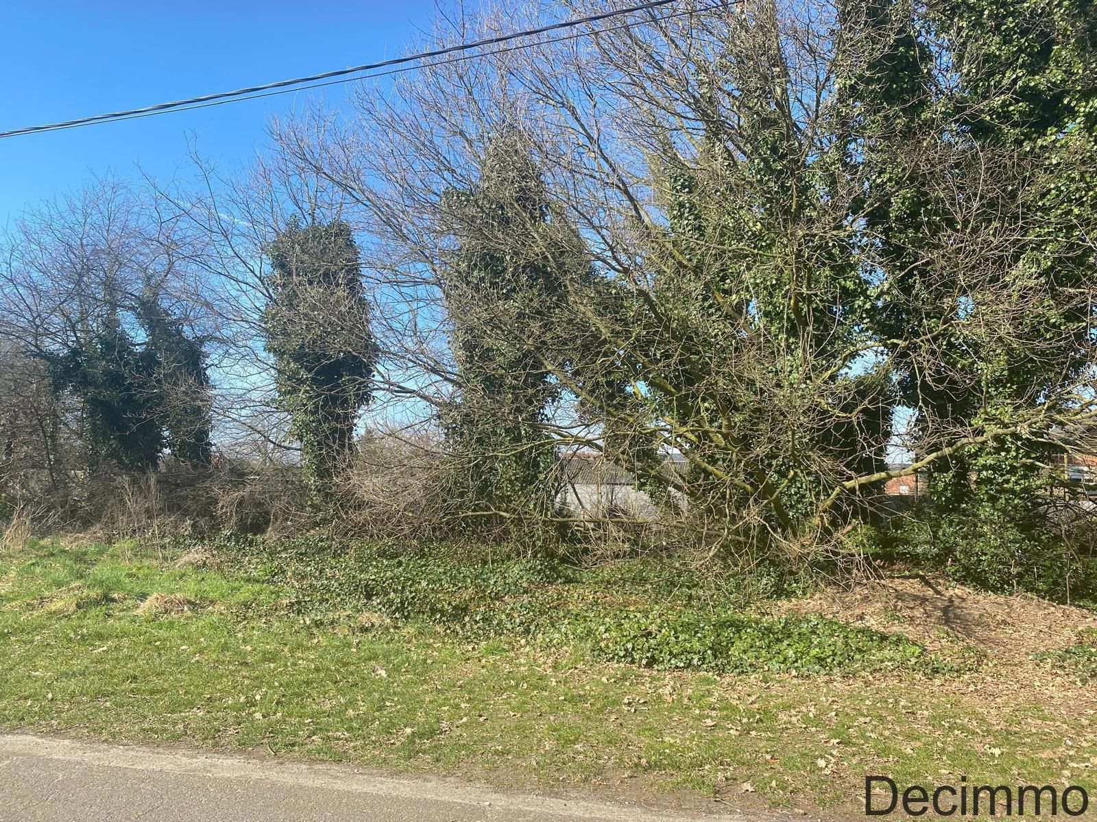 Projectgrond ca. 2340 m² gelegen in het centrum van Balen foto 4