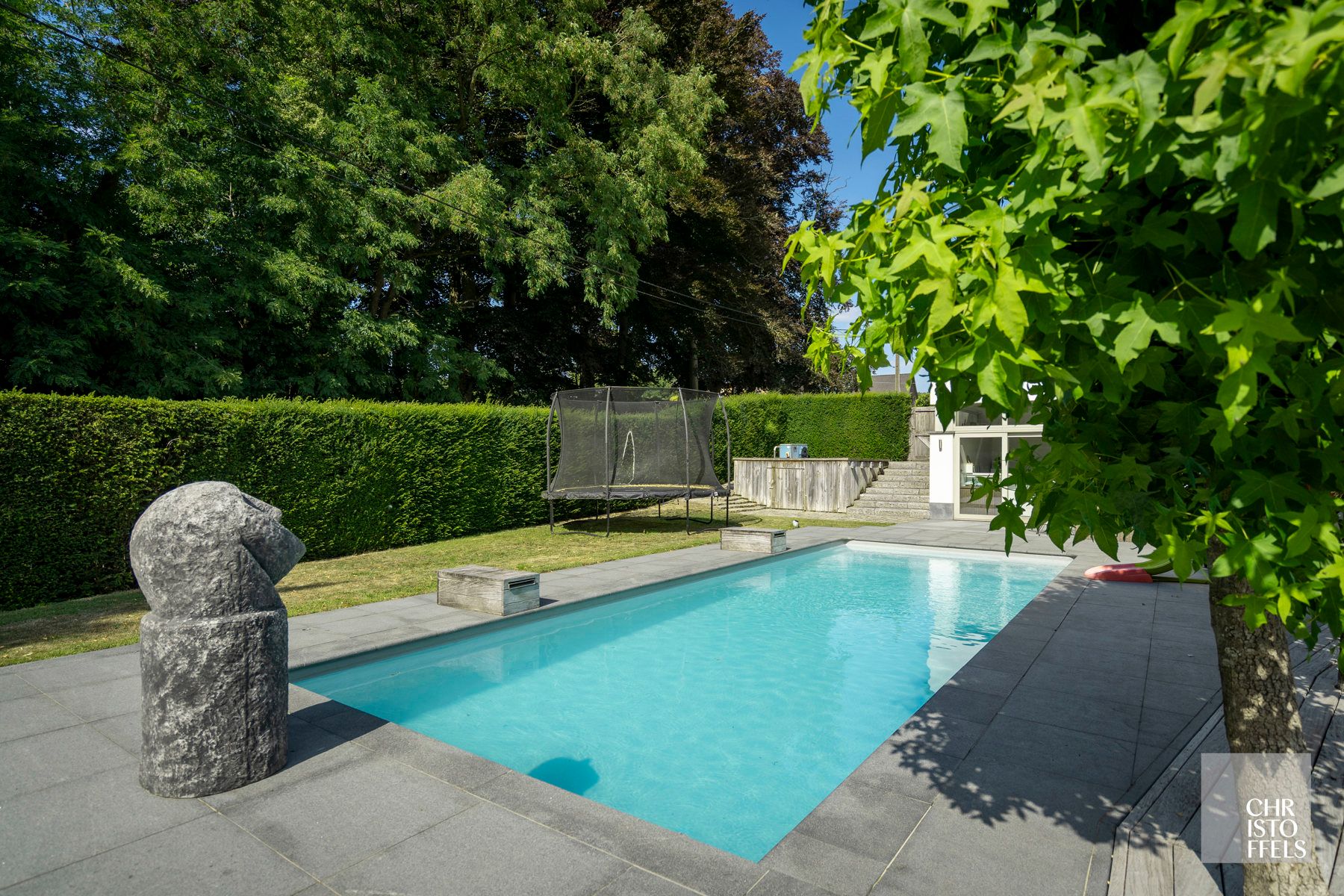 Totaal gerenoveerde villa (362 m²) met poolhouse (239 m²) in Opoeteren foto 3