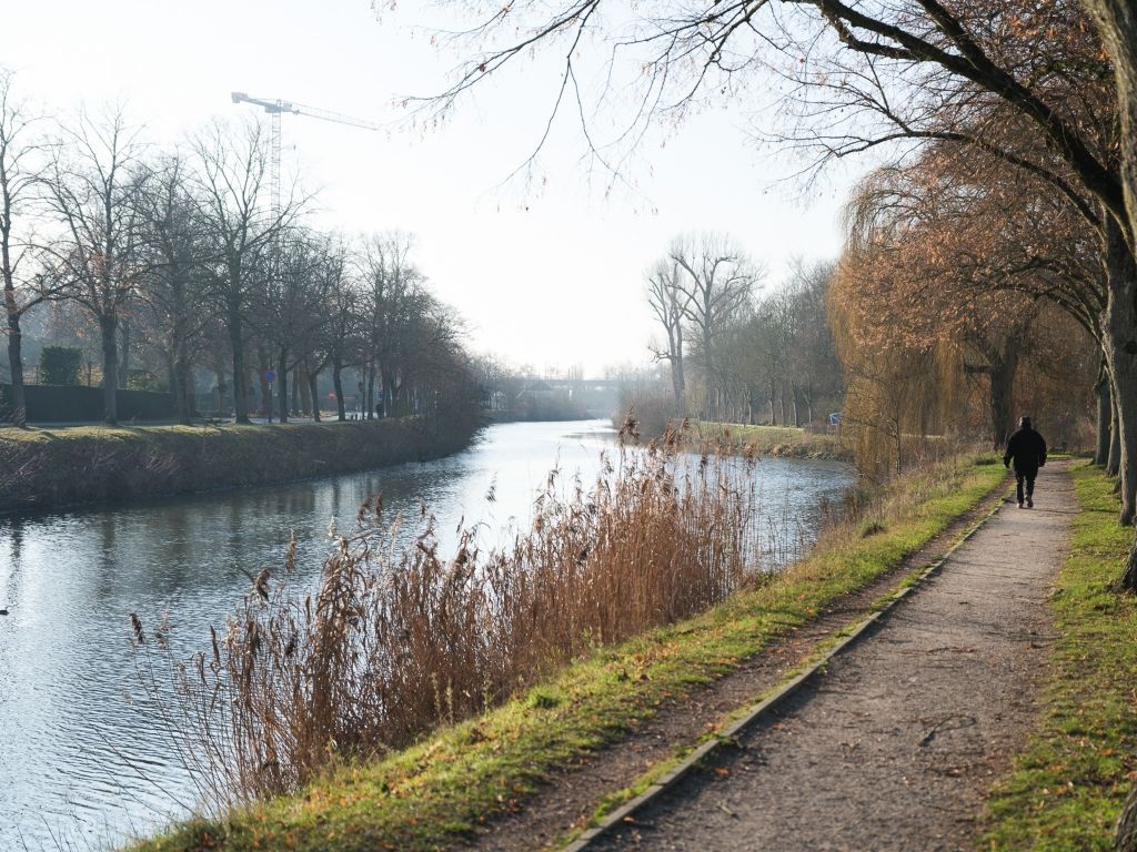 Lichtrijk 1-slaapkamerappartement met zuidgericht terras (14 m²) foto 10