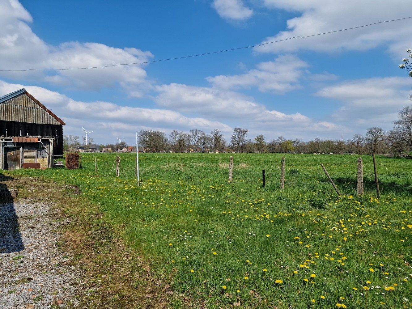 Hoeve Op de hoef foto 6