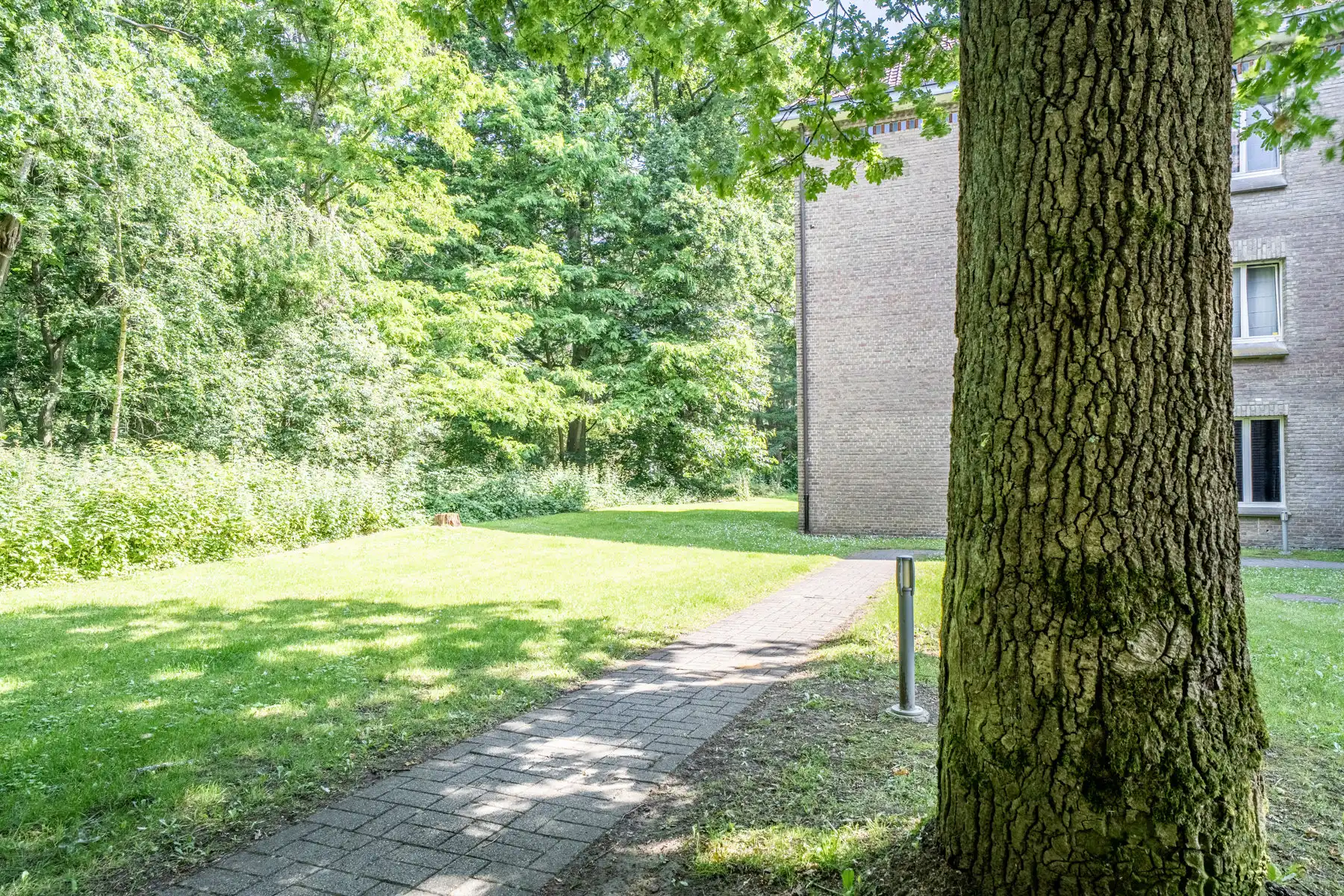 Gelijkvloers erfgoedappartement met tuin in Halle foto 24