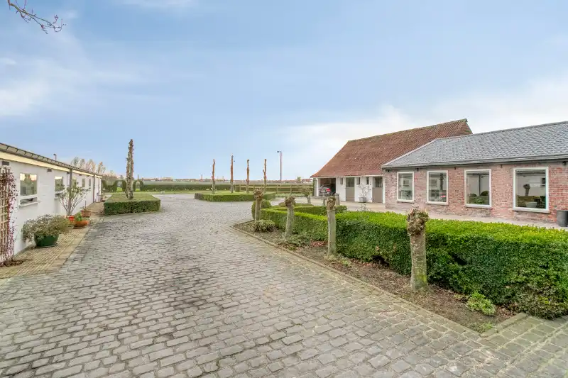 Exclusieve eigendom op ca. 4,4 hectare met professionele paardeninfrastructuur foto 5