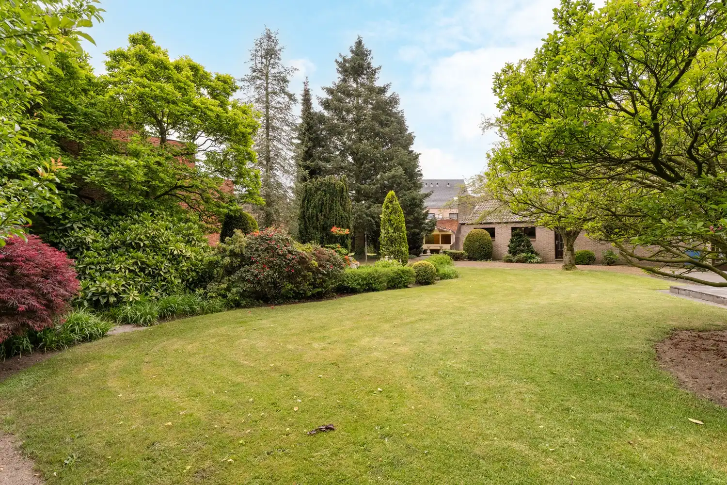 Karaktervolle woning in het centrum van Hamont met een mooi perceel grond foto 34