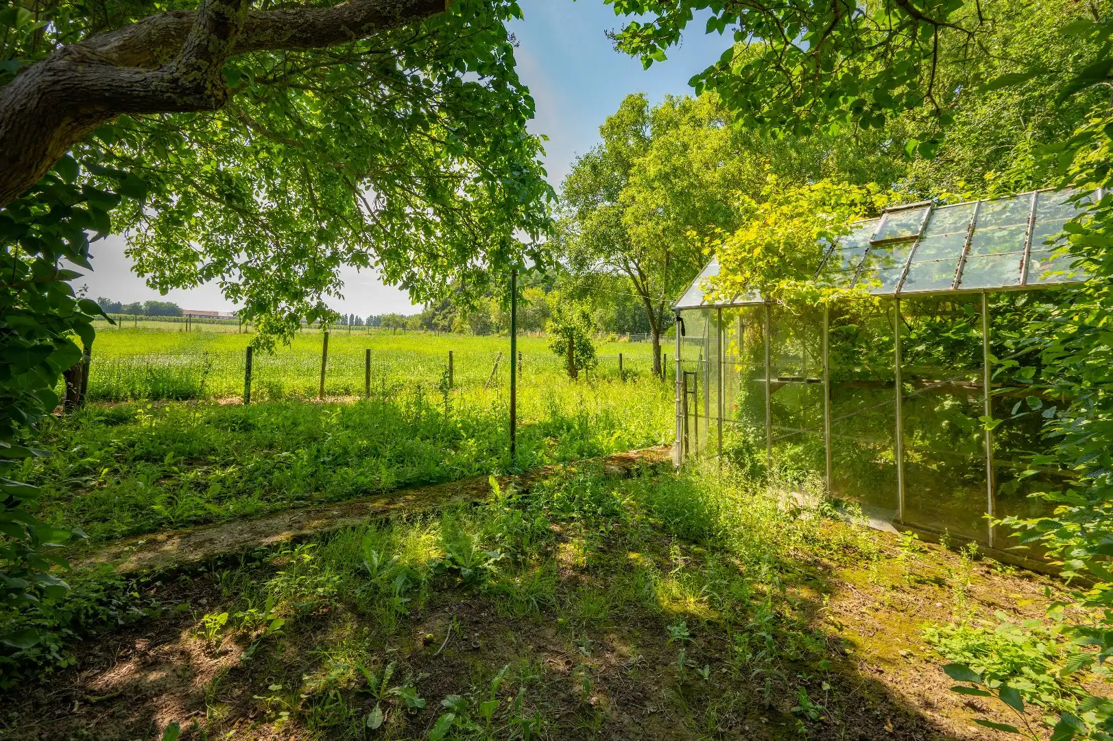 Ruime open bebouwing met 3 slaapkamers in een zeer rustige omgeving te Ezemaal (Landen) foto 22